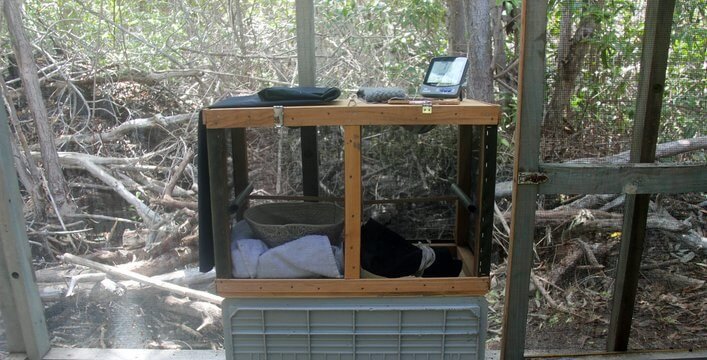 Artificial nest in the aviary.