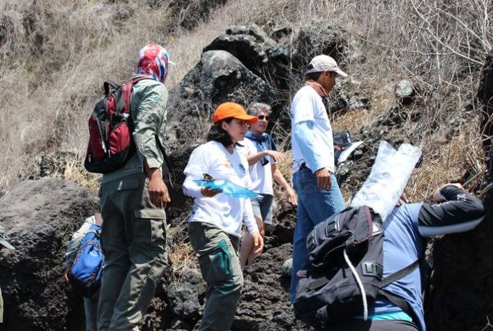 CDF, GNPD and British Broadcasting Corporation (BBC) team looking for penguin nests in Caleta Iguana.