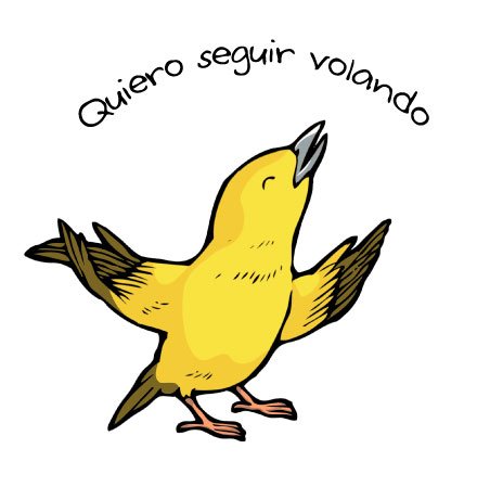 Campaña “Quiero seguir volando” para reducir la mortalidad de aves en las carreteras de Galápagos