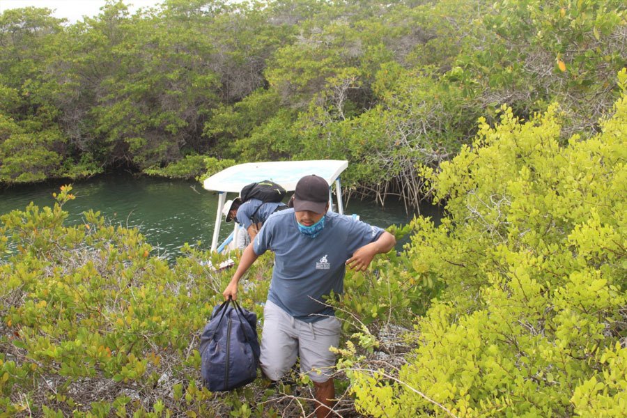 Desembarcando el equipo para caminar hasta la parcela de manglar, definido como nuestro sitio de estudio.