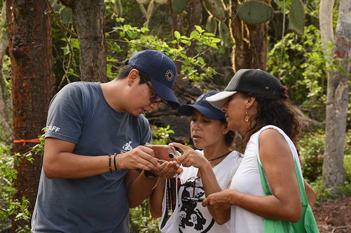 Durante el BioBlitz con la participación de la comunidad de Galápagos