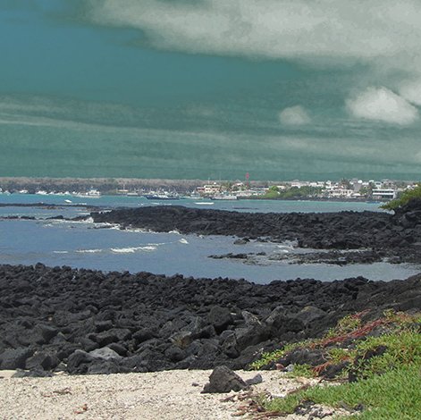 Figure 1. Basalt rock from the Galapagos Islands. La Ratonera, Santa Cruz. Photo by: Byron Delgado M.