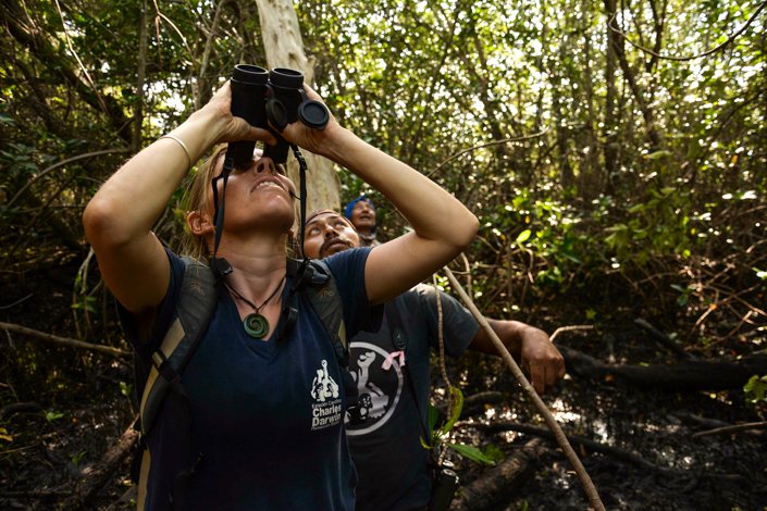 Francesca Cunninghame, Jorge Jiménez y el guardaparque de la DPNG Roberto Ballesteros en busca de un nido de pinzón de manglar