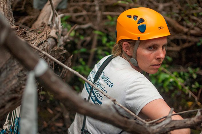 Francesca Cunninghame gets ready to collect a Mangrove Finch nest on Isabela Island.