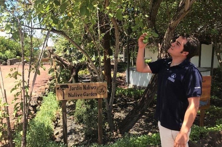 Gardens are an important part at the Charles Darwin Research Station, which is working on a program to restore plants in parts of the Galapagos archipelago.