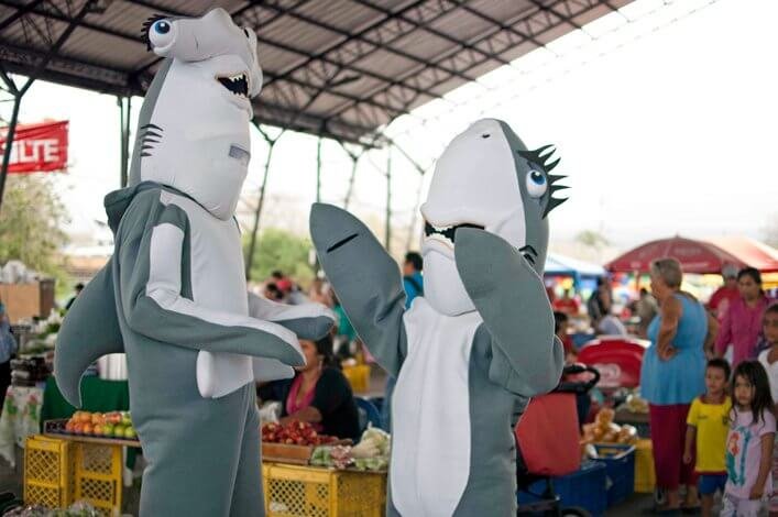 'Guillo The Hammerhead Shark' and 'Vanessa The Tigress' at Miraflores Market, Puerto Ayora.