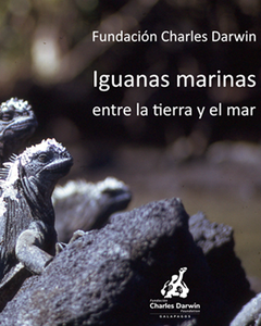phocathumbnail_Fcd_Iguanas_marinas_entre_la_tierra_y_el_mar.png