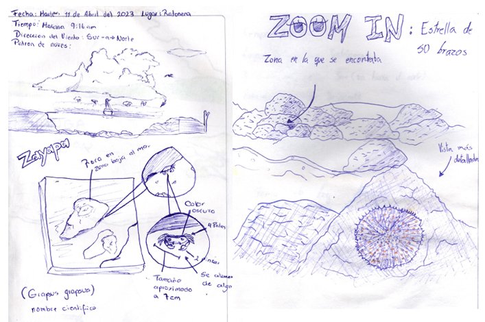 Jericob (15 años) registró sus observaciones sobre una zayapa (Grapsus grapsus). Derecha: Diario de Naturaleza de Amy Regato (15 años) demuestra su interés por una estrella de 50 brazos (Heliaster cumingii)