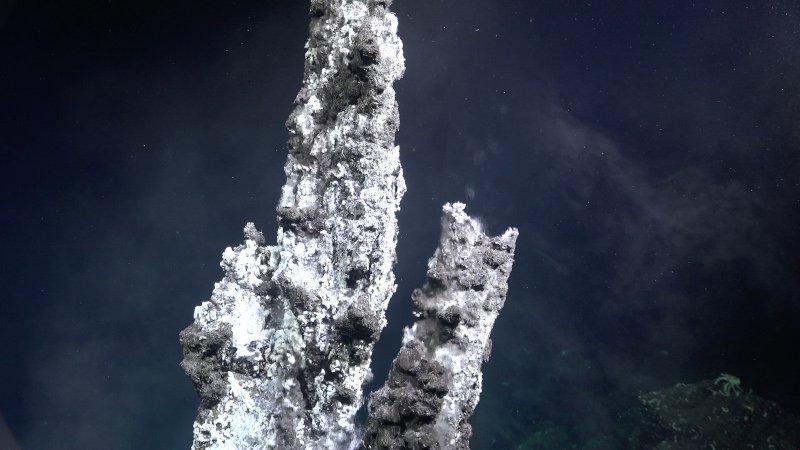 Una chimenea de ventilación descubierta dentro de un campo de ventilación hidrotermal previamente desconocido cerca de las islas Galápagos. El equipo de investigación utilizó una variedad de tecnologías, incluidos sónares, sensores químicos y un vehí