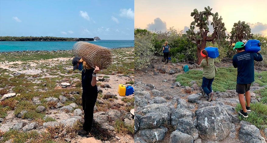 Esme Plunkett cargando mallas viejas de los sitios (izquierda). Felipe Cornejo, María Guerrero, Paúl Mayorga (equipo GV2050) cargando chimbuzos de 20 litros en cada sitio de estudio (derecho)