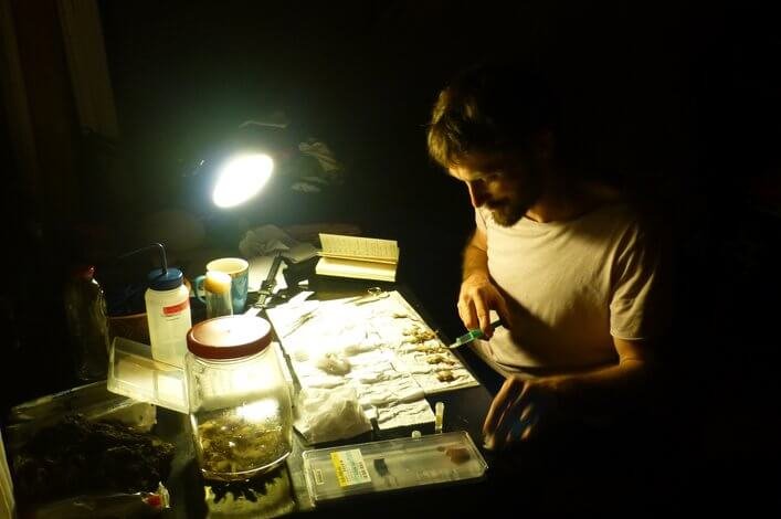 Dr. Raffael Ernst (FCD) preserving frog specimens collected in different areas of the agricultural area
