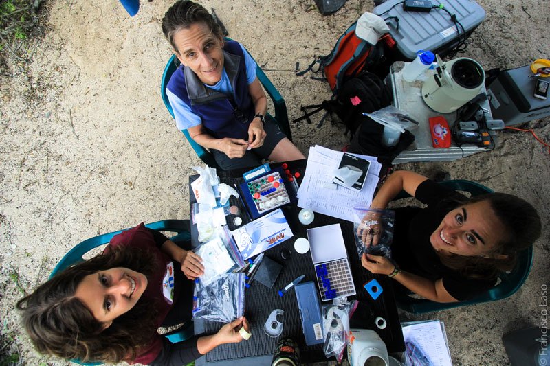 Dras. Sharon Deem, Ainoa Nieto e Irene Peña procesando muestras en el laboratorio de campo