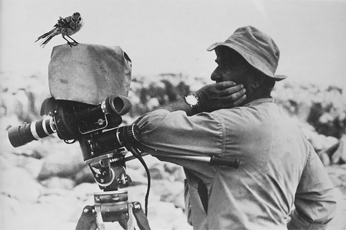 A Hood mocking bird sitting on Eugen Schuhmacher's camera during the Xarifa-Expedition.