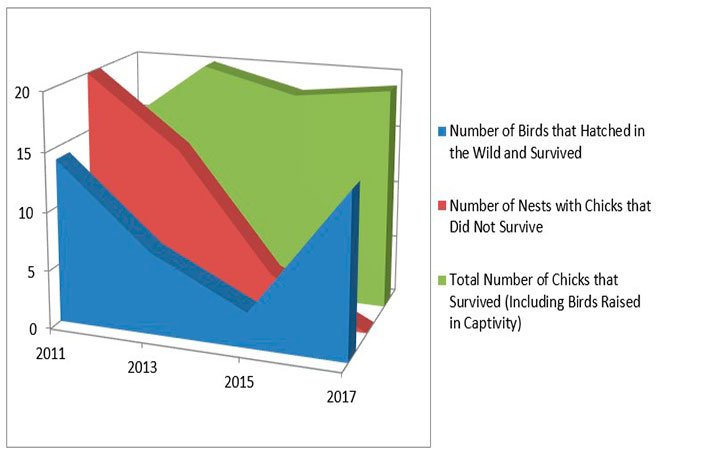 A graph of mangrove finch statistics from 2011 to 2017.