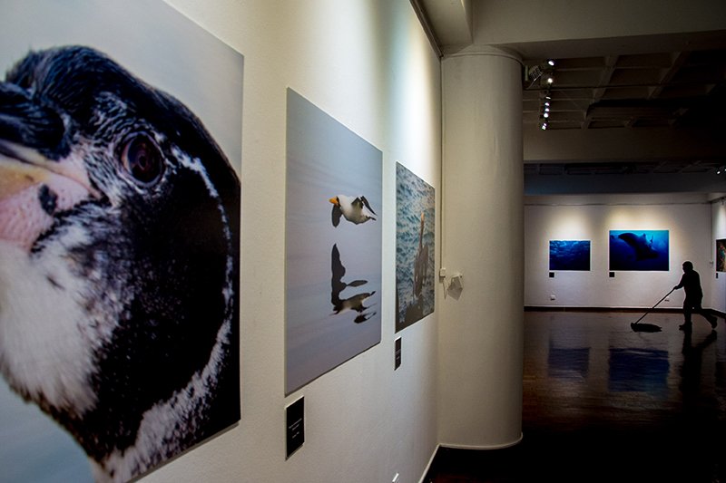 At the end of the first day of the photo exhibit