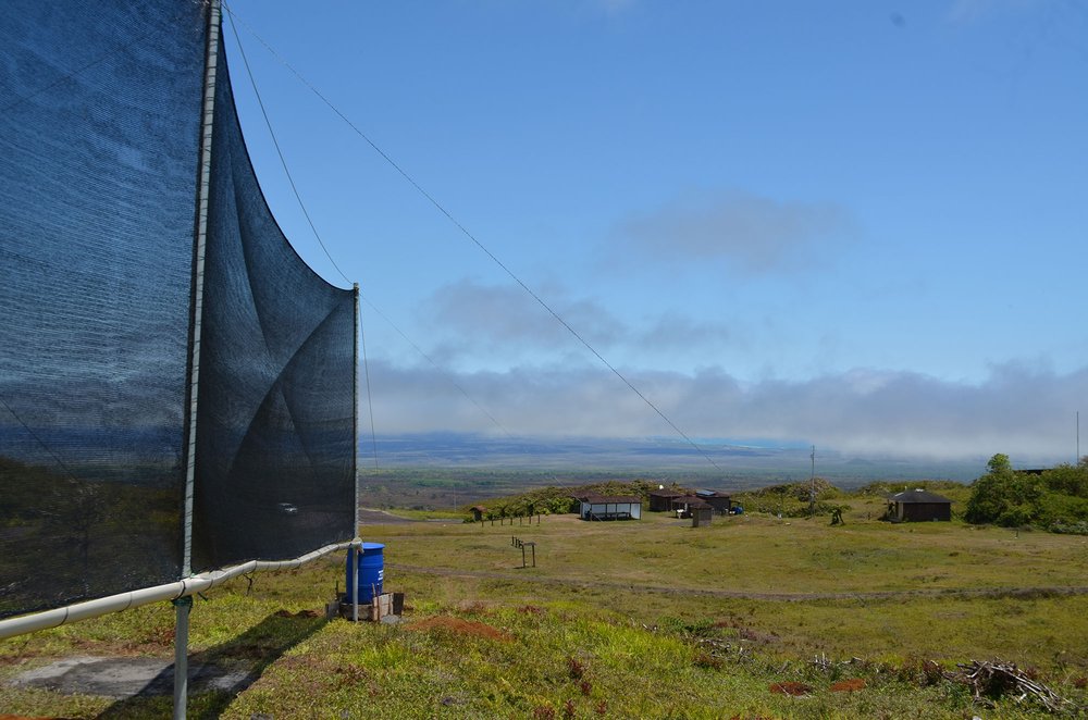 Atrapanieblas instalado en la caseta de control de la DPNG en la entrada el Volcán Sierra Negra. 