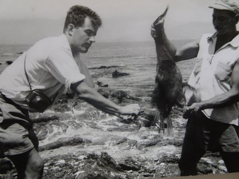 Bird-banding in Galapagos