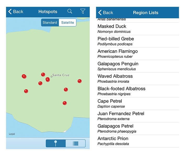 BirdsEye sighting and species list screens.