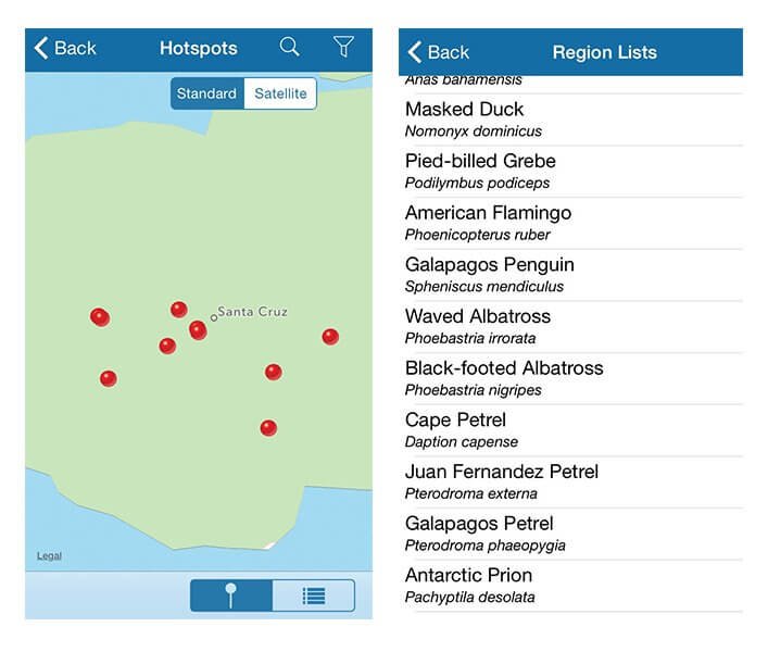 BirdsEye sighting and species list screens.