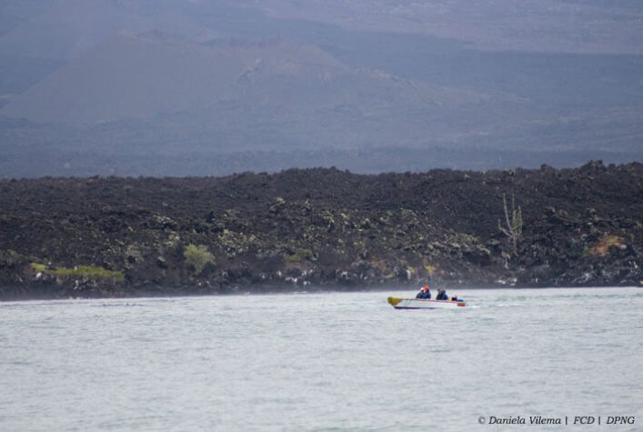 CDF and DPNG monitoring team carrying out one of the censuses at Isabela Island.