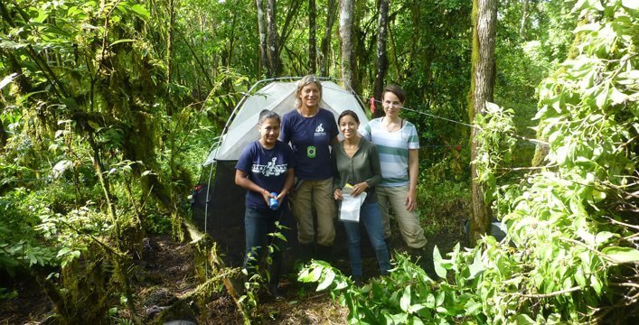 CDF scientists setting up traps to capture insects.