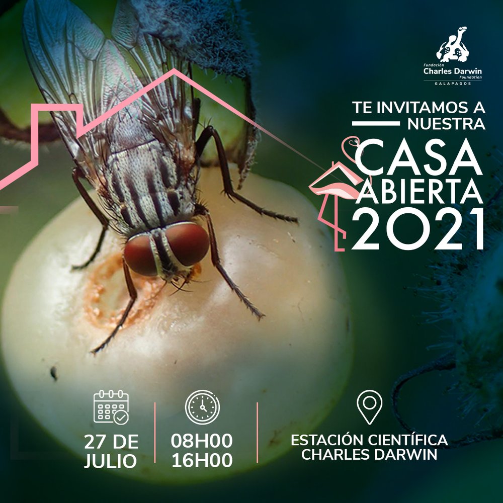 Casa Abierta 2021 de la Fundación Charles Darwin. 