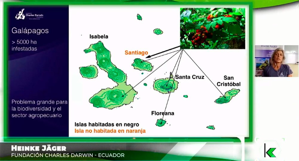 Charla vía Zoom brindada por nuestra científica Heinke Jäger sobre especies invasoras terrestres.