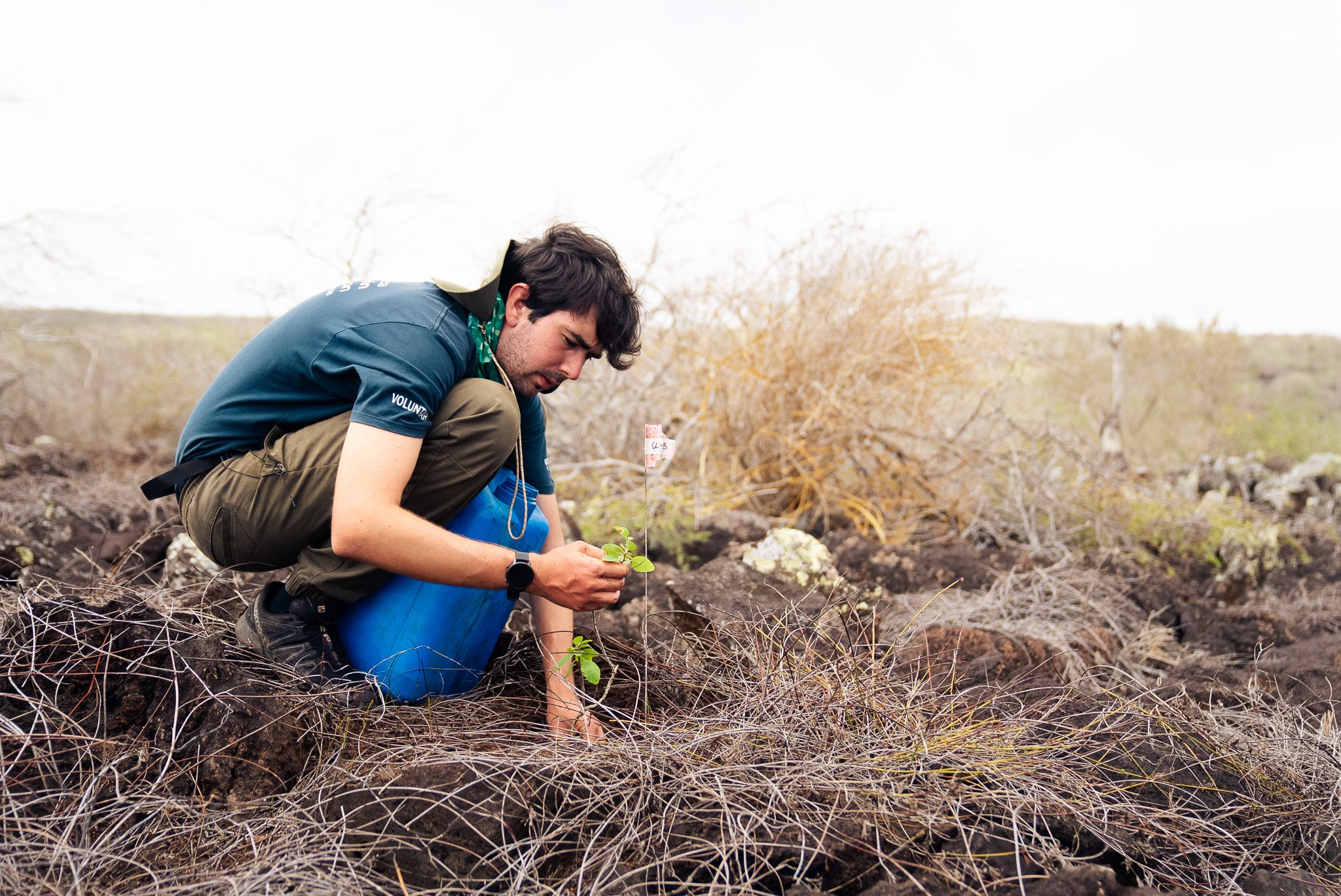 Floreana Restoration Champion
