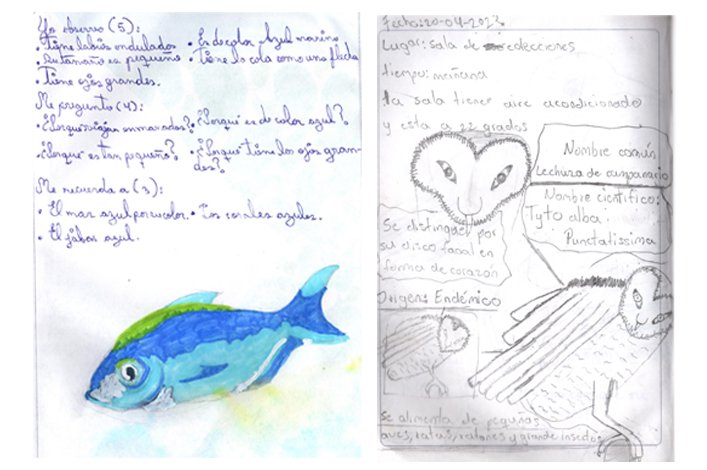 Dario de Naturaleza de Katherin, 15 años. Derecha: Diario de Naturaleza de Piero Batallas,13 años,