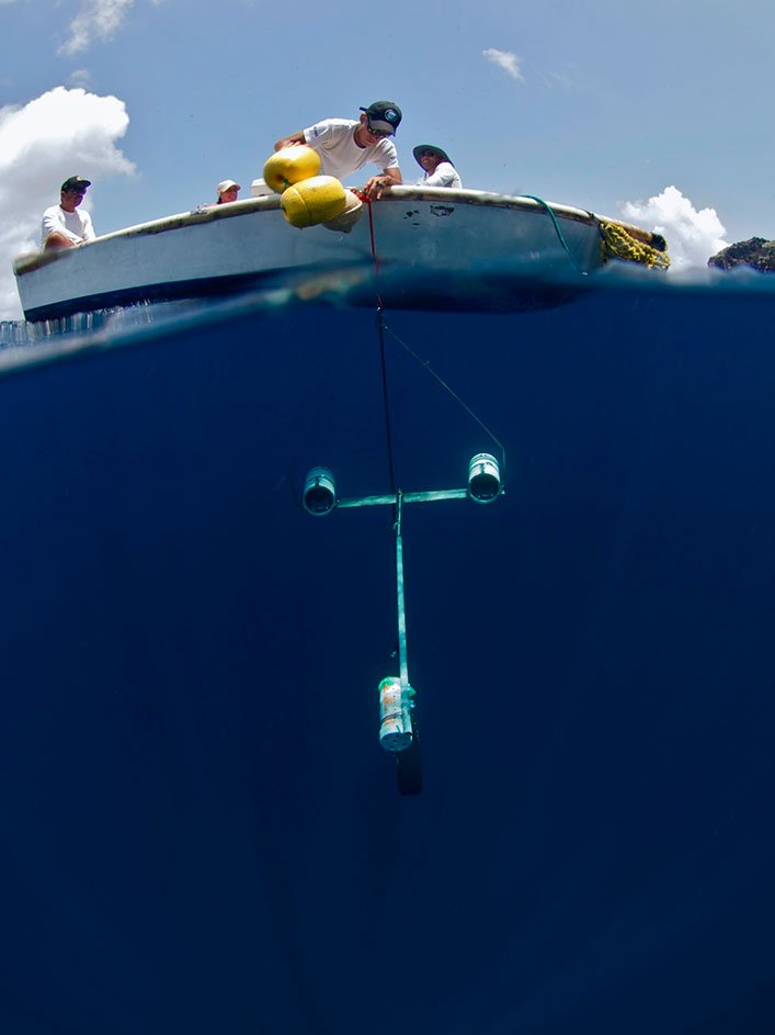 Deploying a stereo-BRUVs at Darwin Island.