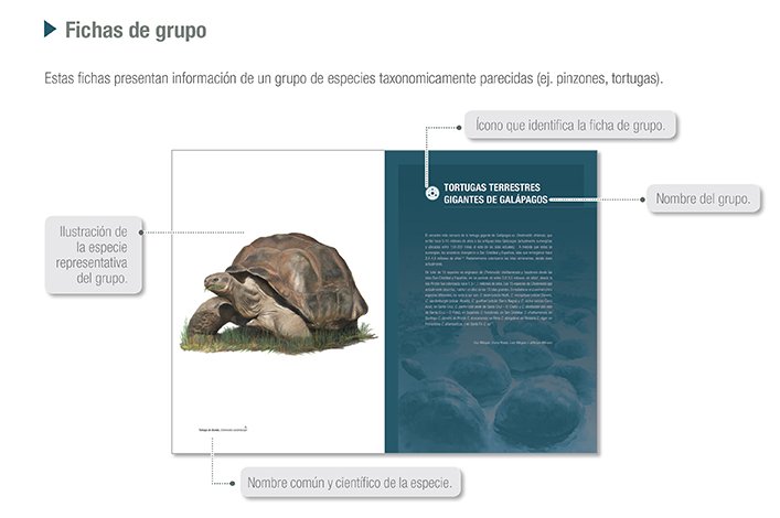 Description sheets of groups, from the Galapagos Atlas