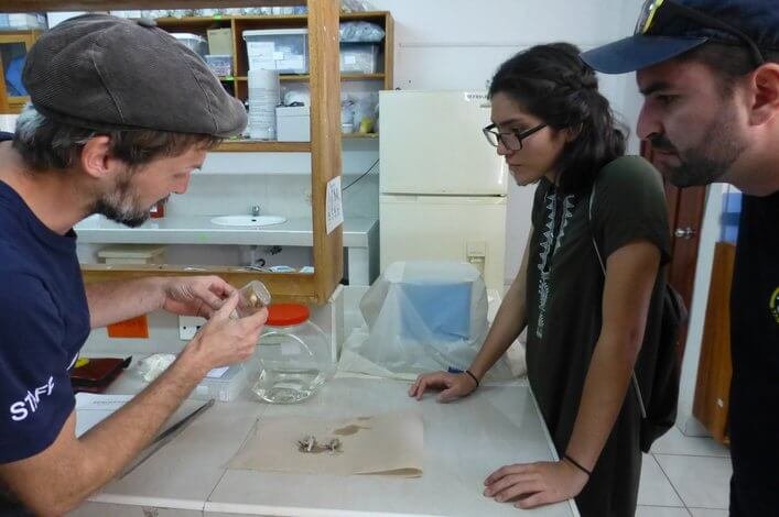 Dr. Raffael Ernst (FCD, left) explaining the process of preparing frogs to Maria del Mar and Dr. Rafael Bermúdez (ESPOL)