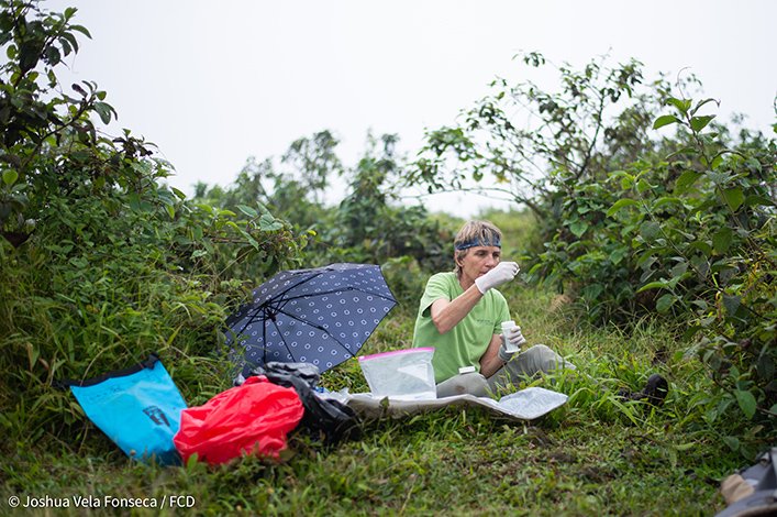 Dr. Sharon Deem processing samples in the field. 