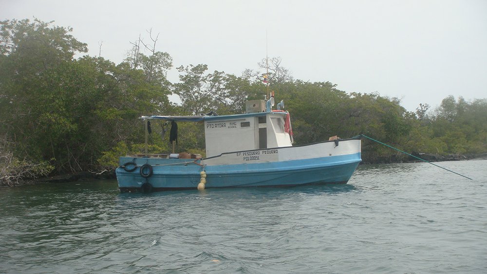 The artisanal fishing of Galapagos, my motivation for life - Charles Darwin  Foundation