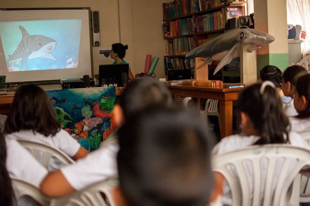 Environmental education workshops in schools.