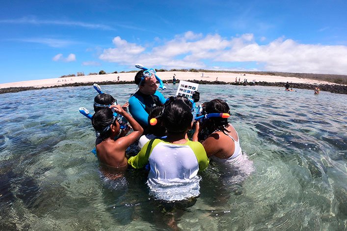 Estudiantes de la escuela Alejandro Alvear identificando peces en la guía de especies junto a Francisco Galvis, miembro del equipo de educación marina