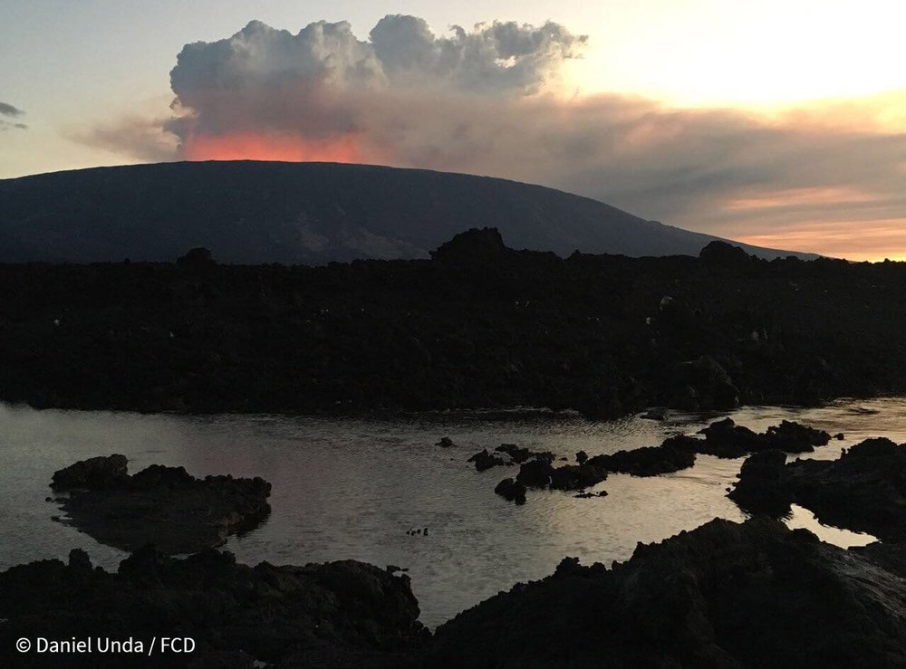 Fernandina Volcano at dusk.