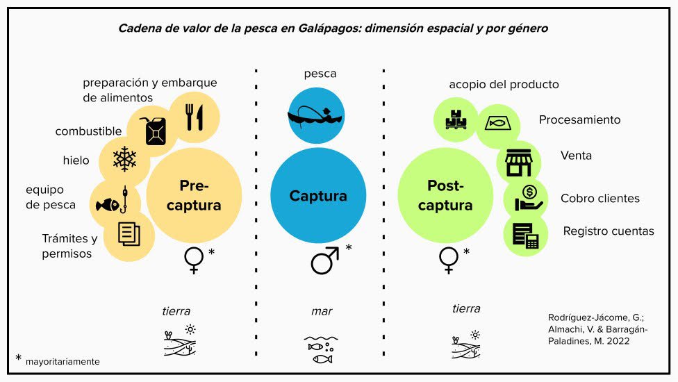 Figura 1. Actividades en tierra y en mar, dentro la actividad pesquera artesanal en Galápagos.
