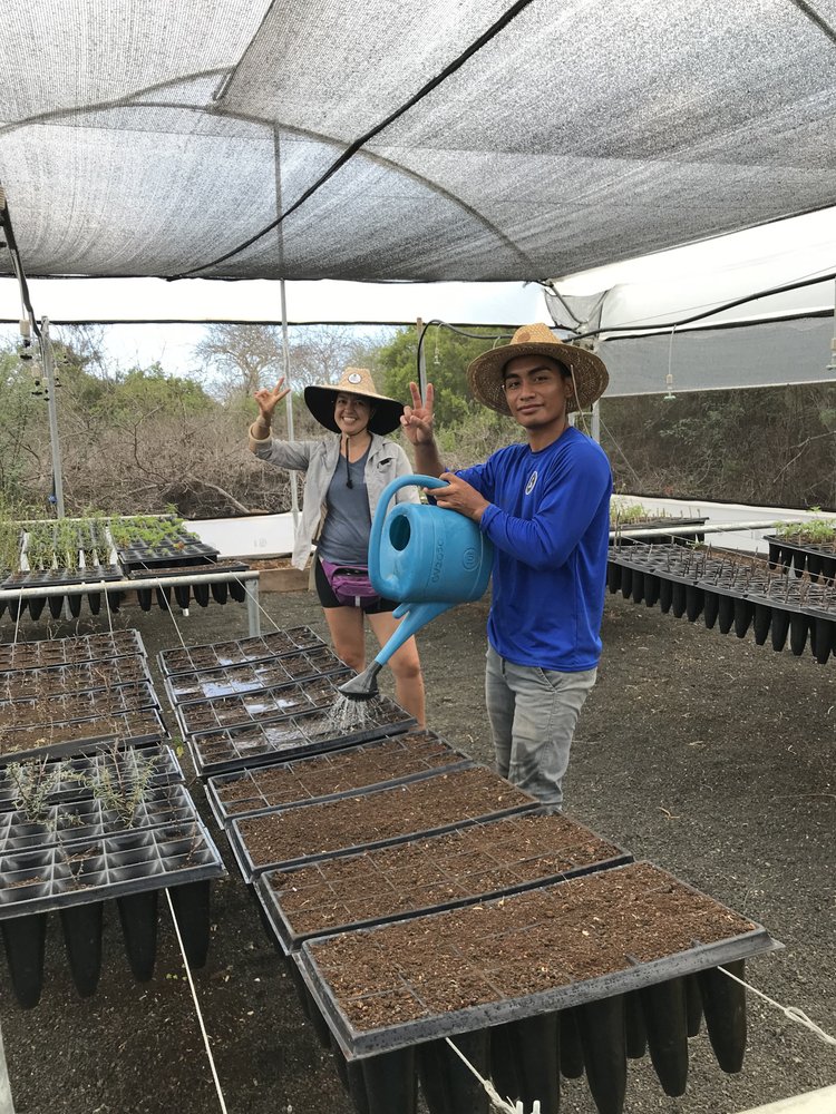 Figura 3. Liliana Jaramillo y John Chango preparando camas para esquejes de plantas. Foto: Darlene Chirman