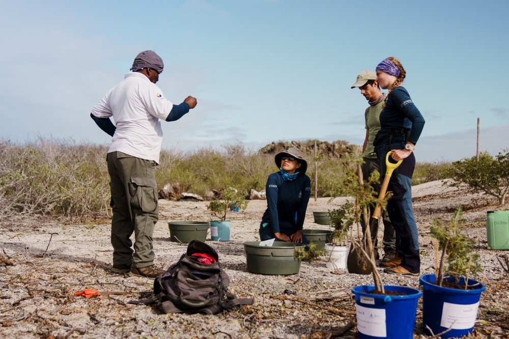 Figura 5. Parte del equipo GV2050 y la DPNG, trabajando en Punta Manzanillo, junto a las plántulas de Lecocarpus lecocarpoides transportadas desde el laboratorio, para dar inicio a la siembra, con tecnologías ahorradoras de agua.
