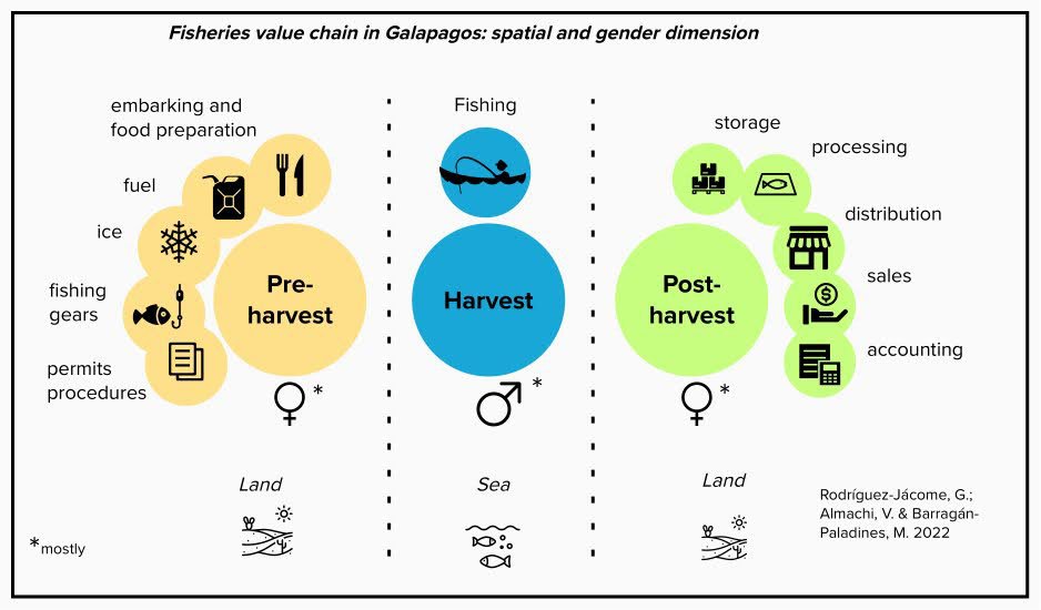 Figure 1. Artisanal fishing activities in Galapagos on land and at sea.