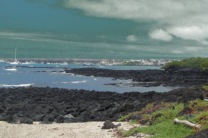 Figure 1. Basalt rock from the Galapagos Islands. La Ratonera, Santa Cruz. Photo by: Byron Delgado M.