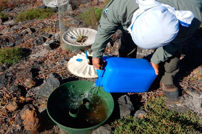 Filling the Groasis technology with water.