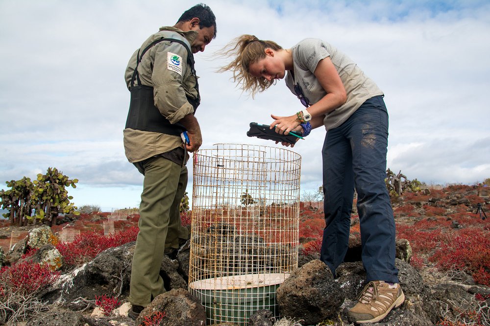 Francisco Calva (GNPD) monitoring with Esme Plunkett in Plazas Sur.