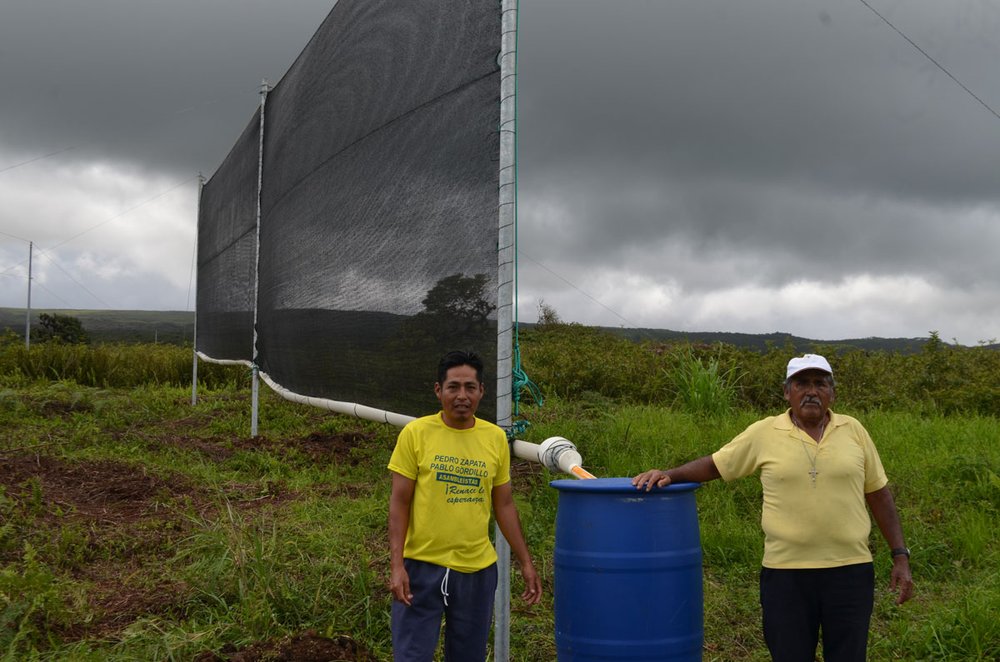 From left to right: Javier and Carlos Jaramillo. Fog catcher installed at the “La Florida” farm in “El Cura” sector. Photo: Ernesto Bustamante Velarde, CDF