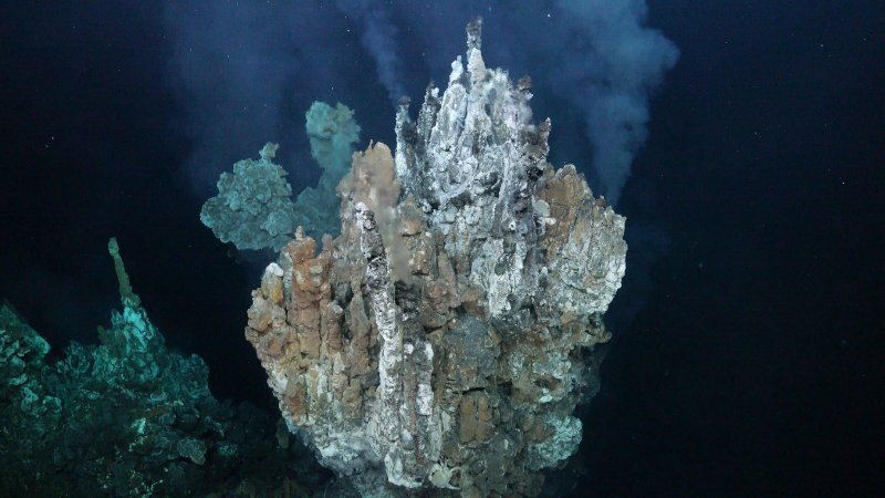 Fumarola negra. Foto: ROV SuBastian / Schmidt Ocean Institute