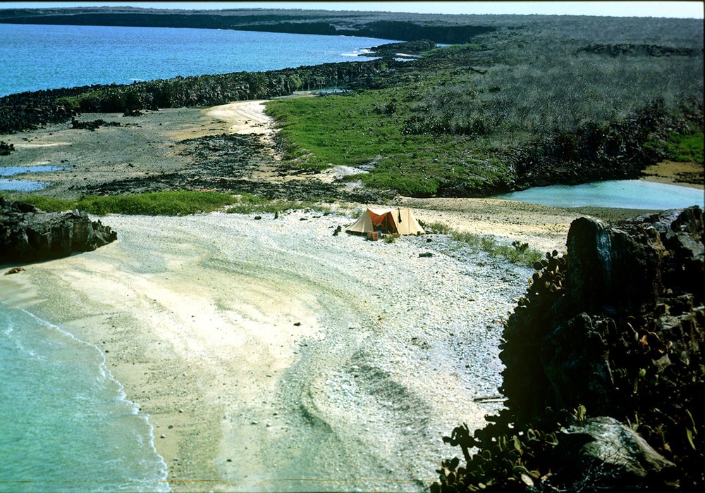 Genovesa Island, 1963. Photo courtesy: Peter Kramer, FCD