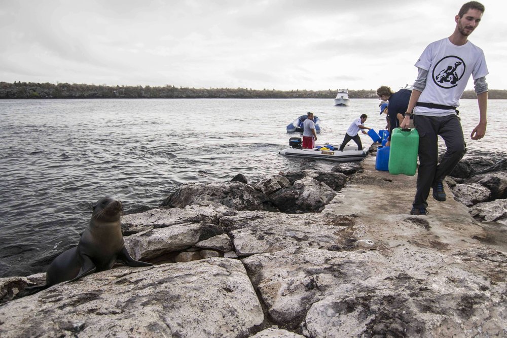 Getting supplies at the dock on South Plaza Island.