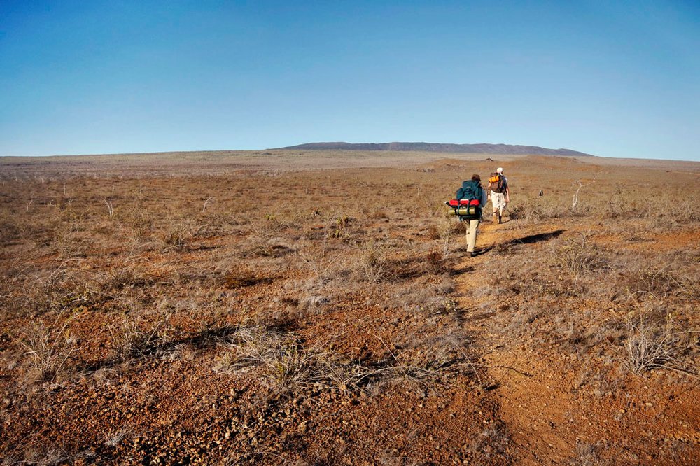 Heading up to Alcedo Volcano to monitor birds.