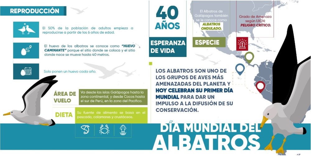 Infografía realizada por el equipo de comunicación de la Fundación Charles Darwin